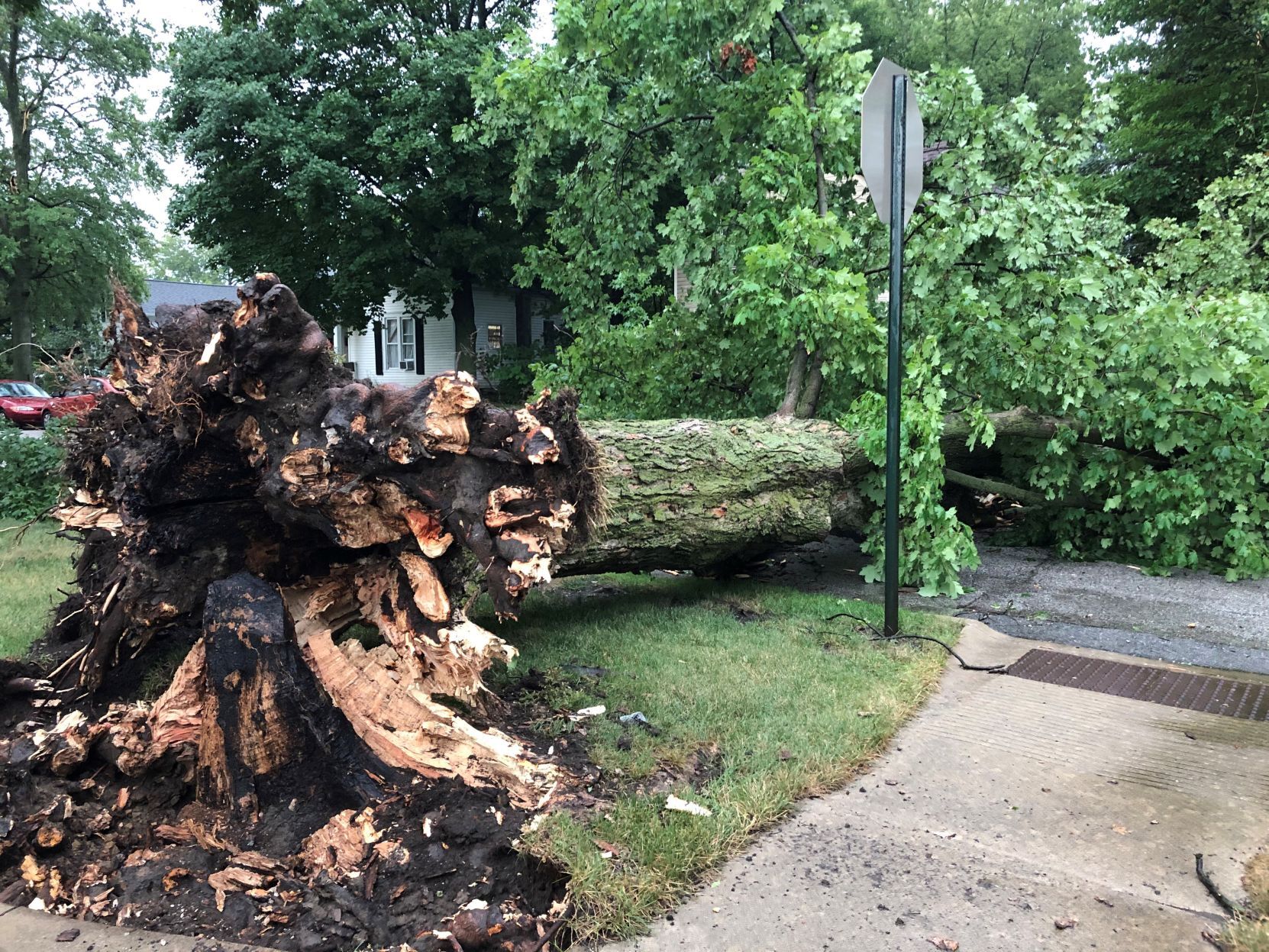 Thousands without power after storm blows through Region